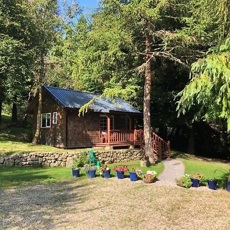 Willow Lodge Dublin Dış mekan fotoğraf