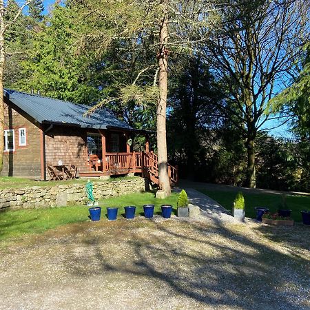 Willow Lodge Dublin Dış mekan fotoğraf