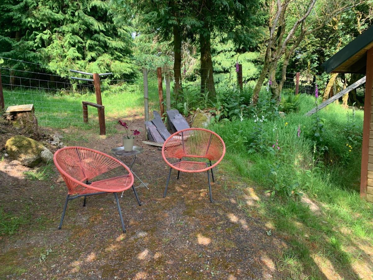 Willow Lodge Dublin Dış mekan fotoğraf