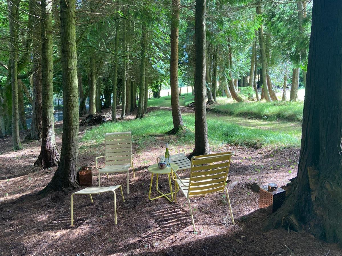 Willow Lodge Dublin Dış mekan fotoğraf