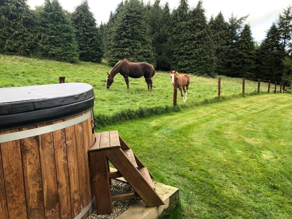 Willow Lodge Dublin Dış mekan fotoğraf